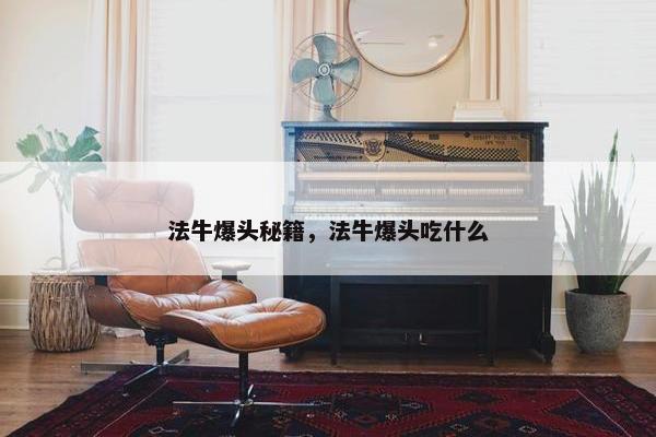 法牛爆头秘籍，法牛爆头吃什么