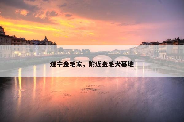 遂宁金毛家，附近金毛犬基地