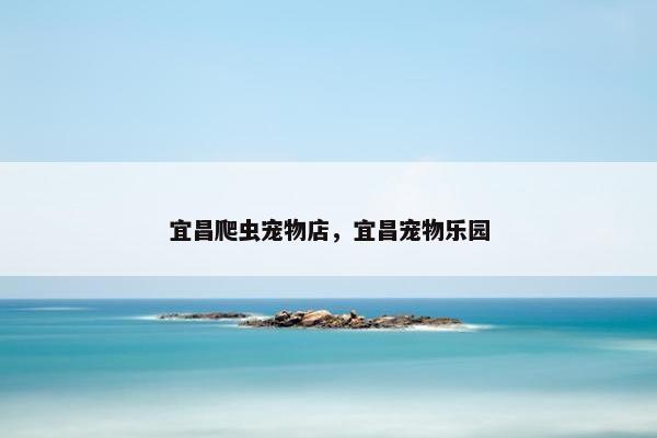 宜昌爬虫宠物店，宜昌宠物乐园