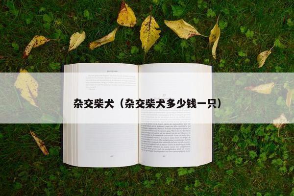 杂交柴犬（杂交柴犬多少钱一只）