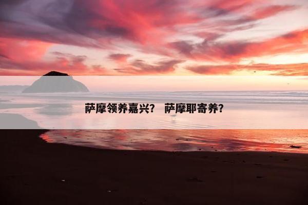 萨摩领养嘉兴？ 萨摩耶寄养？