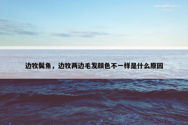 边牧鬓角，边牧两边毛发颜色不一样是什么原因