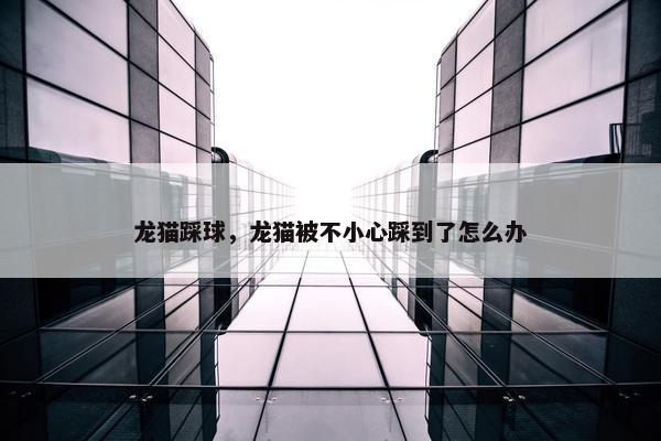 龙猫踩球，龙猫被不小心踩到了怎么办