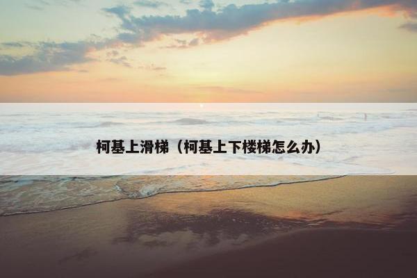 柯基上滑梯（柯基上下楼梯怎么办）