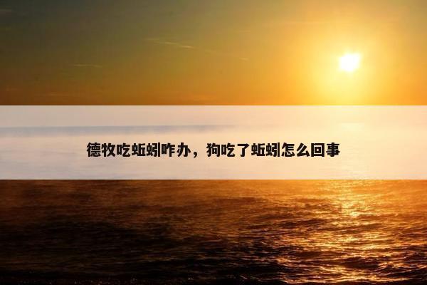 德牧吃蚯蚓咋办，狗吃了蚯蚓怎么回事