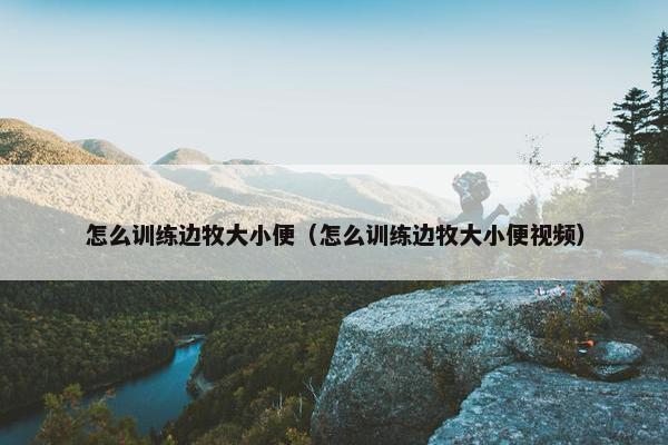 怎么训练边牧大小便（怎么训练边牧大小便视频）