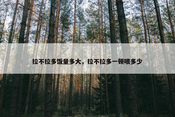 拉不拉多饭量多大，拉不拉多一顿喂多少
