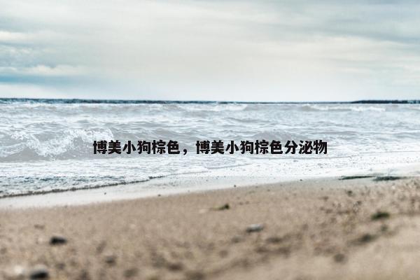 博美小狗棕色，博美小狗棕色分泌物