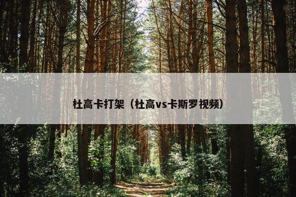 杜高卡打架（杜高vs卡斯罗视频）