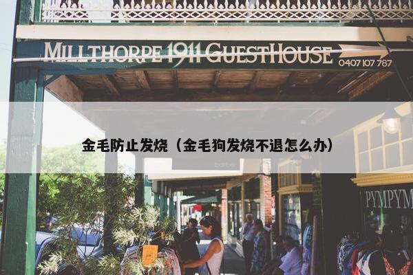金毛防止发烧（金毛狗发烧不退怎么办）
