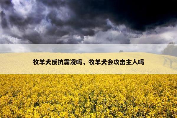 牧羊犬反抗霸凌吗，牧羊犬会攻击主人吗