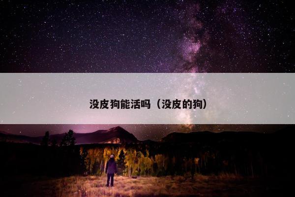 没皮狗能活吗（没皮的狗）