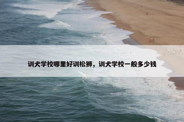 训犬学校哪里好训松狮，训犬学校一般多少钱
