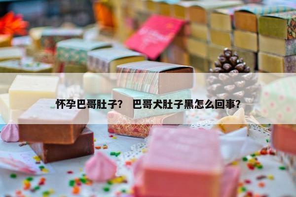 怀孕巴哥肚子？ 巴哥犬肚子黑怎么回事？