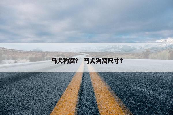 马犬狗窝？ 马犬狗窝尺寸？