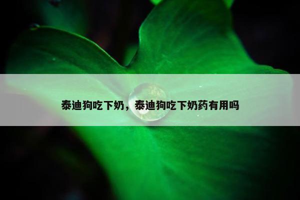 泰迪狗吃下奶，泰迪狗吃下奶药有用吗