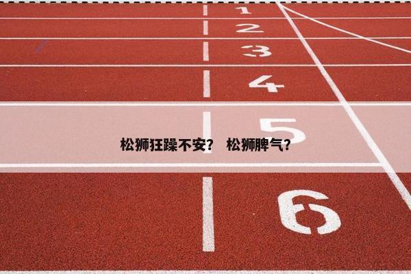 松狮狂躁不安？ 松狮脾气？