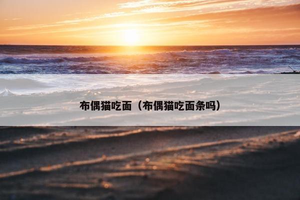 布偶猫吃面（布偶猫吃面条吗）