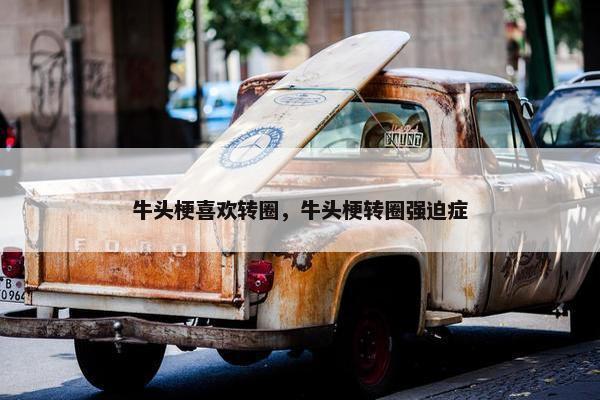 牛头梗喜欢转圈，牛头梗转圈强迫症