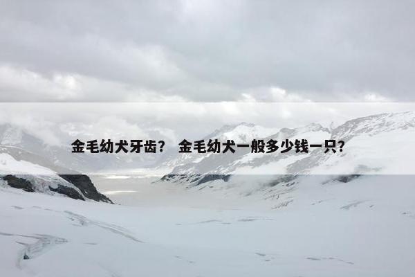 金毛幼犬牙齿？ 金毛幼犬一般多少钱一只？