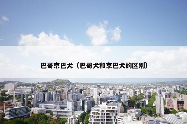 巴哥京巴犬（巴哥犬和京巴犬的区别）