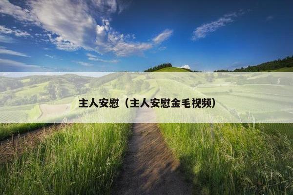 主人安慰（主人安慰金毛视频）