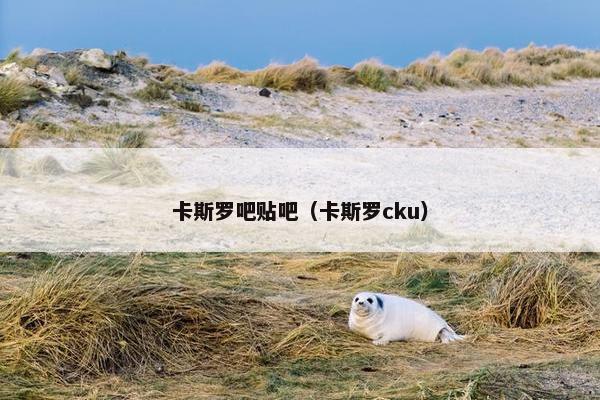 卡斯罗吧贴吧（卡斯罗cku）