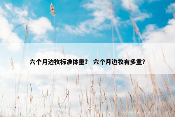 六个月边牧标准体重？ 六个月边牧有多重？