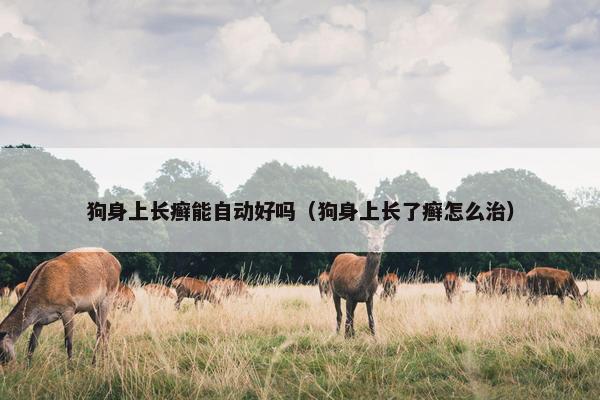 狗身上长癣能自动好吗（狗身上长了癣怎么治）