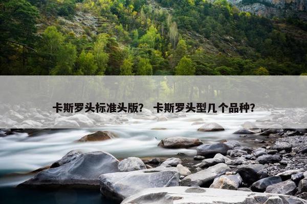 卡斯罗头标准头版？ 卡斯罗头型几个品种？