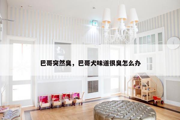 巴哥突然臭，巴哥犬味道很臭怎么办