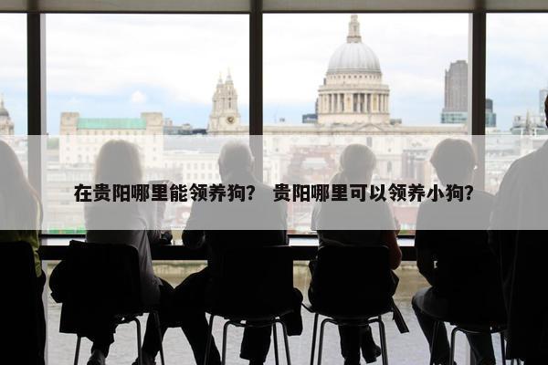 在贵阳哪里能领养狗？ 贵阳哪里可以领养小狗？