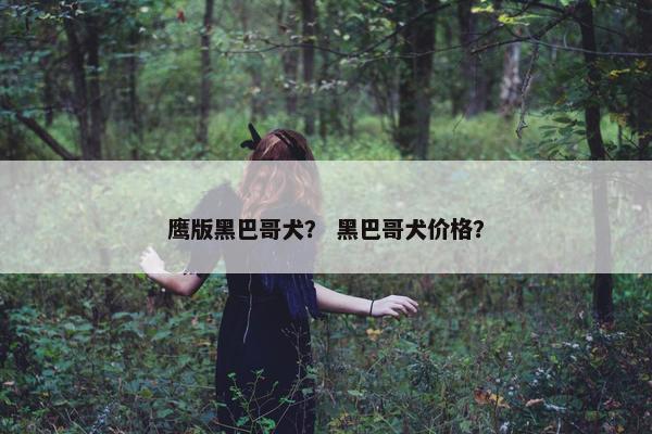 鹰版黑巴哥犬？ 黑巴哥犬价格？