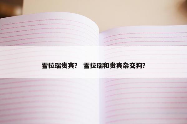 雪拉瑞贵宾？ 雪拉瑞和贵宾杂交狗？