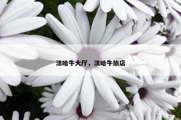 法哈牛大厅，法哈牛旅店