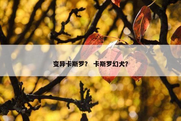 变异卡斯罗？ 卡斯罗幻犬？