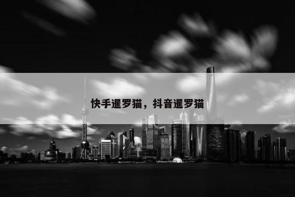 快手暹罗猫，抖音暹罗猫
