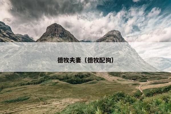 德牧夫妻（德牧配狗）