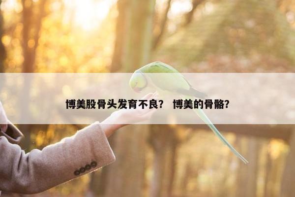 博美股骨头发育不良？ 博美的骨骼？