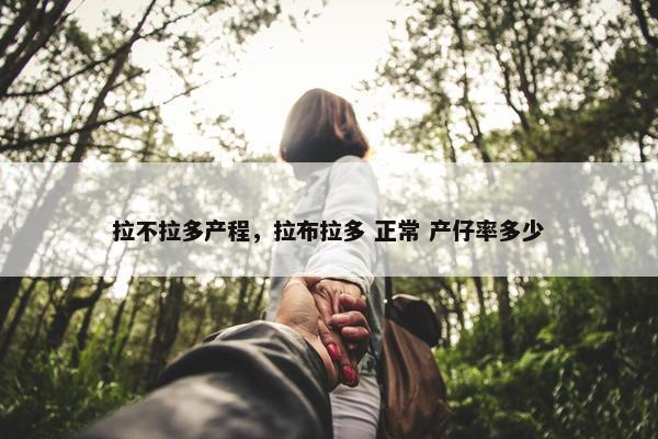 拉不拉多产程，拉布拉多 正常 产仔率多少