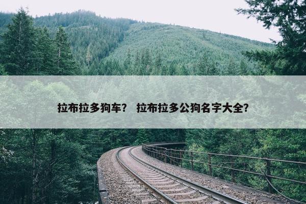拉布拉多狗车？ 拉布拉多公狗名字大全？