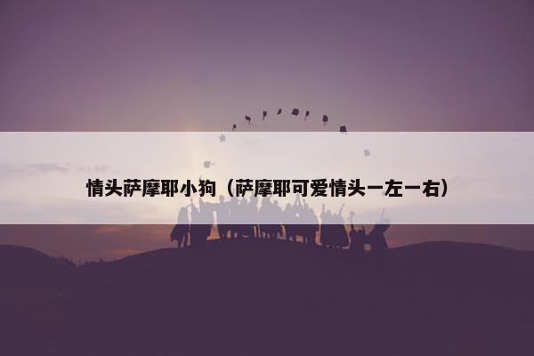 情头萨摩耶小狗（萨摩耶可爱情头一左一右）