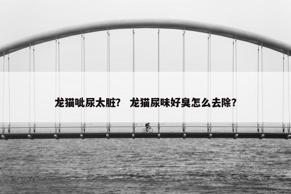 龙猫呲尿太脏？ 龙猫尿味好臭怎么去除？