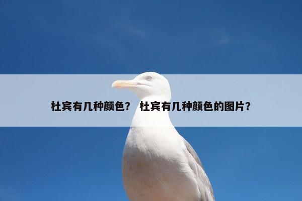 杜宾有几种颜色？ 杜宾有几种颜色的图片？