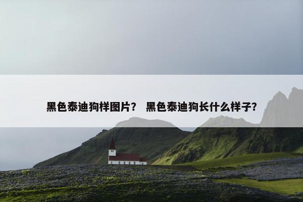 黑色泰迪狗样图片？ 黑色泰迪狗长什么样子？