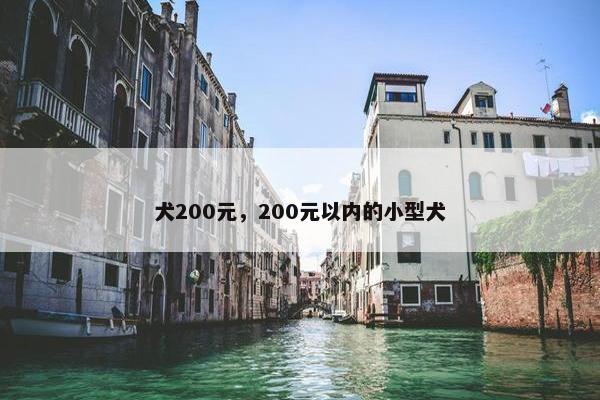 犬200元，200元以内的小型犬