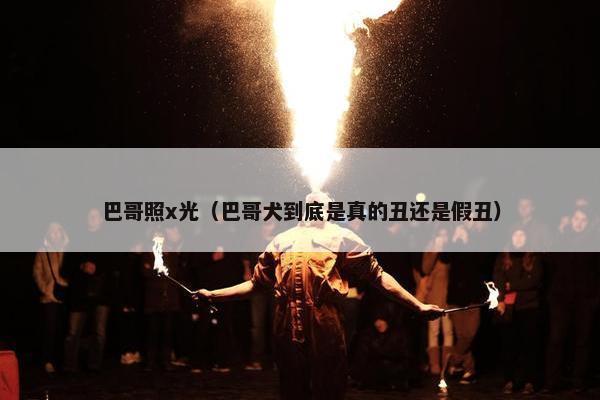 巴哥照x光（巴哥犬到底是真的丑还是假丑）