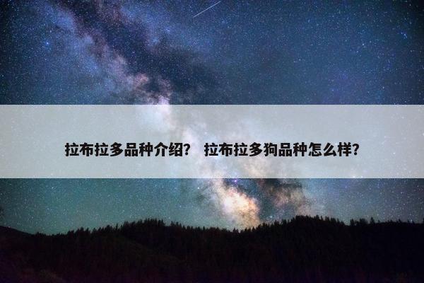 拉布拉多品种介绍？ 拉布拉多狗品种怎么样？