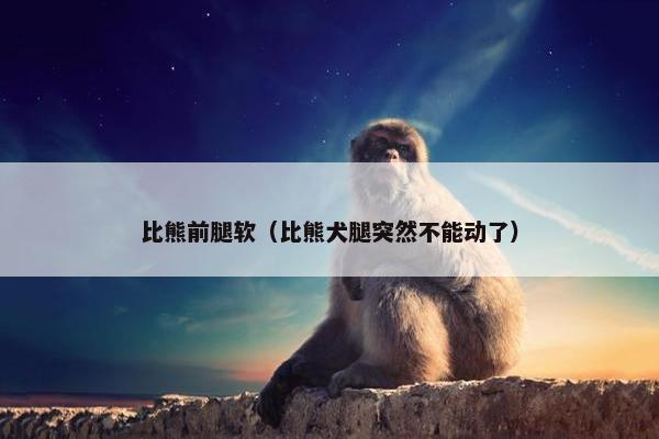 比熊前腿软（比熊犬腿突然不能动了）