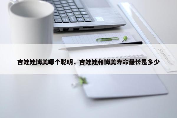 吉娃娃博美哪个聪明，吉娃娃和博美寿命最长是多少